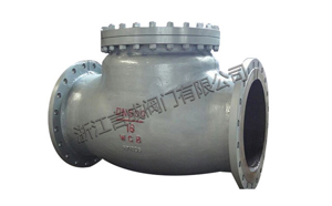 Large diameter check valve Large diameter check valve